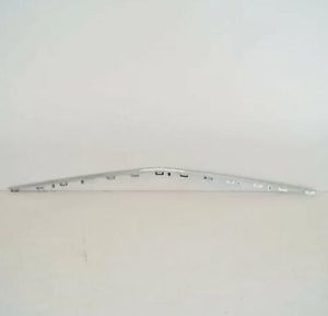NEW GENUINE MERCEDES BENZ E CLASS W213 AMG FRONT BUMPER CENTER ORNAMENTAL TRIM  A2138850300