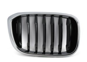 FOR NEW GENUINE BMW X3 X4 SERIES G01 G02 FRONT KIDNEY GRILL LUXURY RIGHT