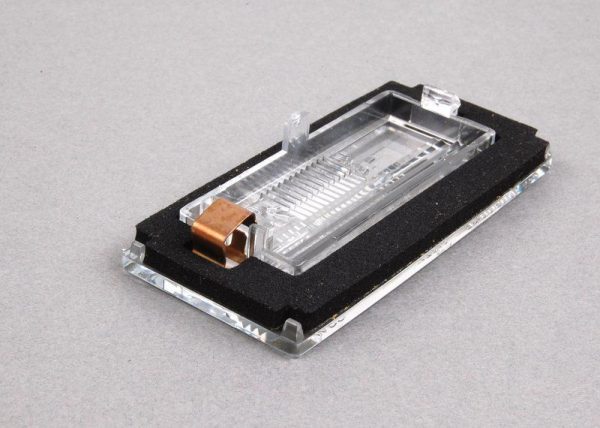 NEW GENUINE MINI COOPER R50 R52 R53 REAR LICENSE PLATE LAMP LIGHT LENS COVER 51247114535 - Image 5