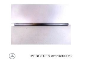 NEW GENUINE MERCEDES BENZ MB A CLASS W169 RIGHT FRONT DOOR MOLDING STRIP PRIMED