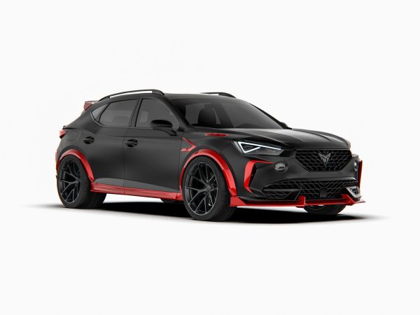 Wheel Arch carbon cover kit pack for Cupra Formentor - Image 3