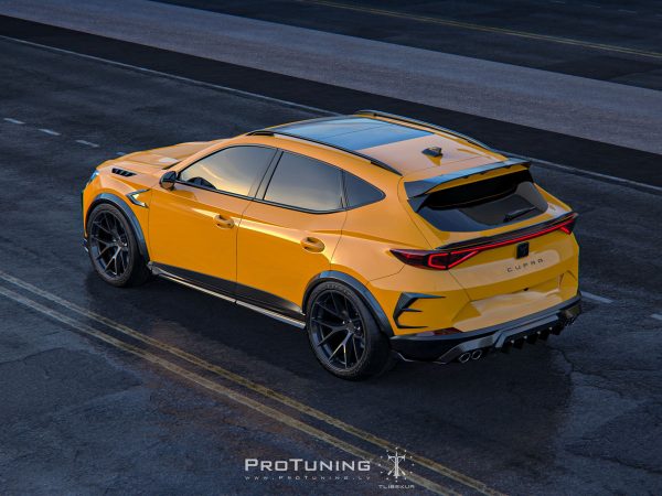 Carbon rear wing fender vent frame diffuser for Cupra Formentor - Image 2
